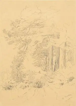 BUNKE, Franz (1857 - 1939). Skogkant