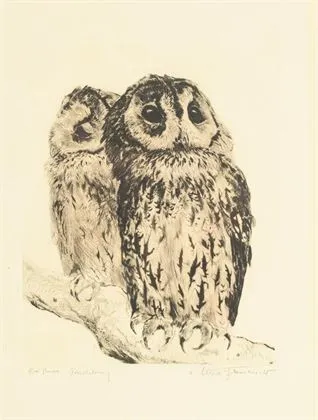 MEYER-EBERHARDT, Kurt (1895 - 1977). Ugler