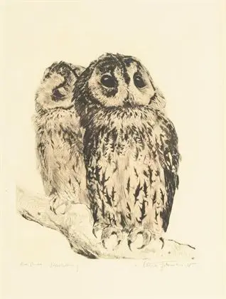 MEYER-EBERHARDT, Kurt (1895 - 1977). Ugler