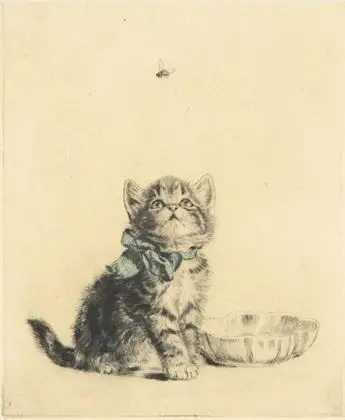 PLÜCKEBAUM, Meta (1876 - 1945). Kattunge med flue