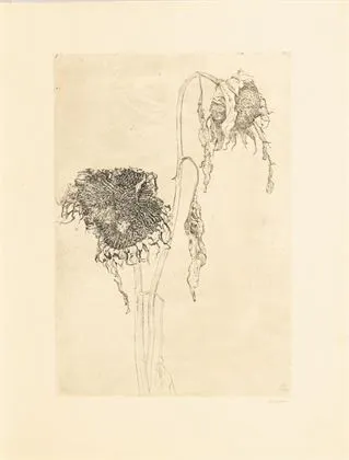 BOON, Jan (1882 - 1975). Girasoli