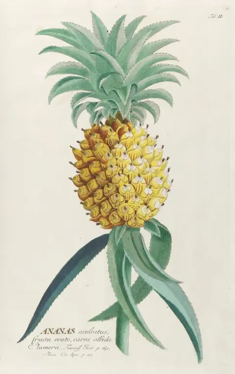 Trew,Ch.J. – Uitgezochte planten