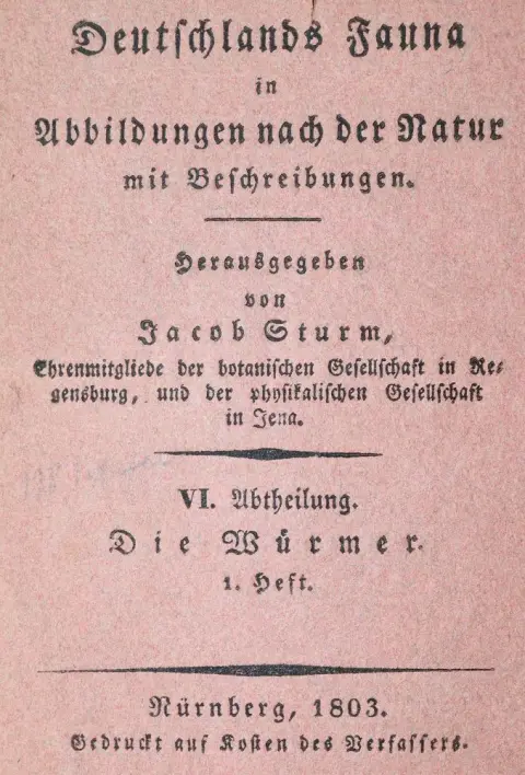 Sturm,J. – Deutschlands Fauna in Abbildungen nach der Natur mit Beschreibungen