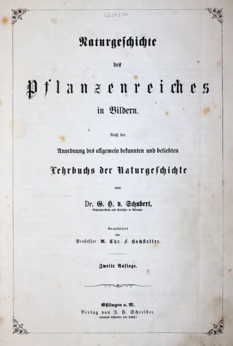 Schubert,G.H.v. – Natural history of the plant kingdom in pictures..
