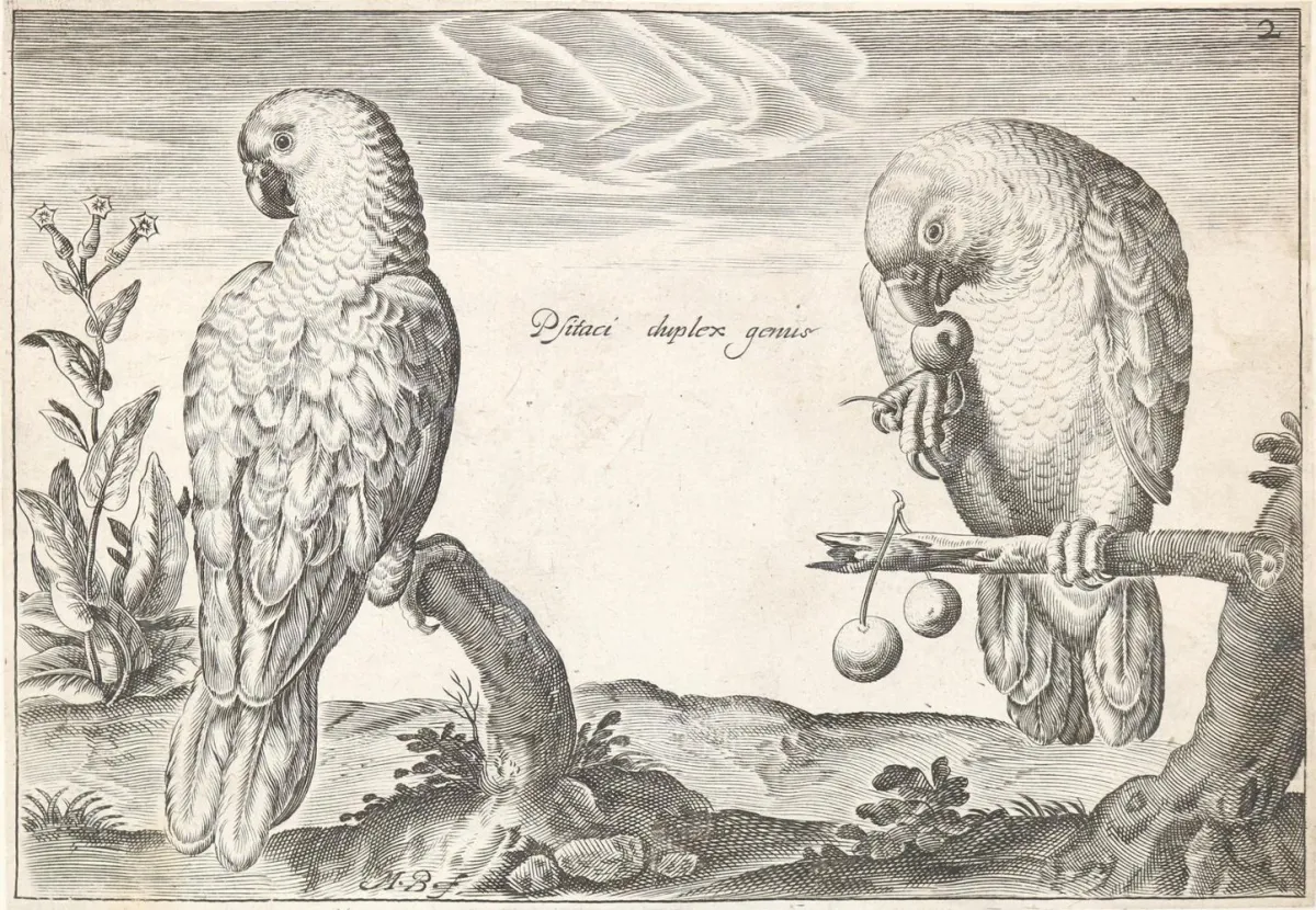 Briot, Marie. – (Oiseaux, Paris), P.Mariette o.J., 2