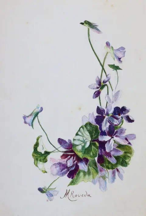 Stammbuch: autorstwa Marsia Boveda, 1908 - 1926