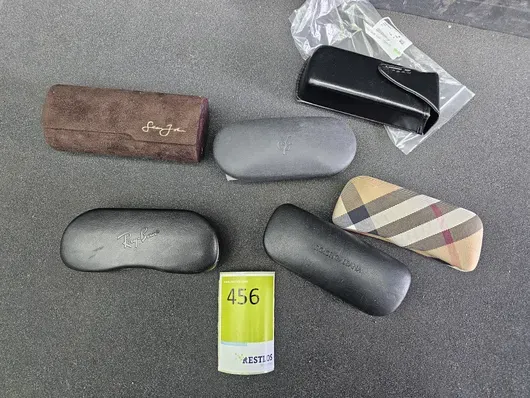 Étuis à lunettes Burberry, D&G etc.