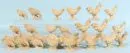 Coqs et poules, 28 pièces – bois, H= 7-13 cm