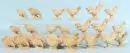 Coqs et poules, 28 pièces – bois, H= 7-13 cm
