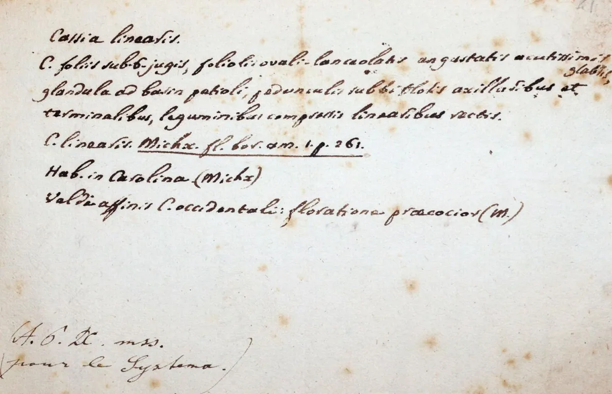 Candolle, Augustin Pyrame de, – Schweizer Botaniker (1778-1841)