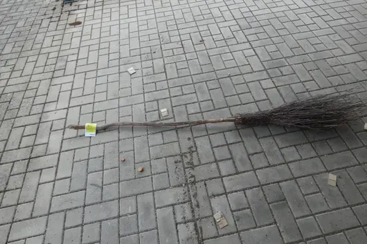 Besen "Nimbus 2000"