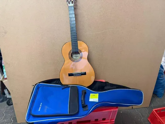 Guitar