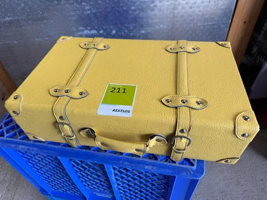Valise