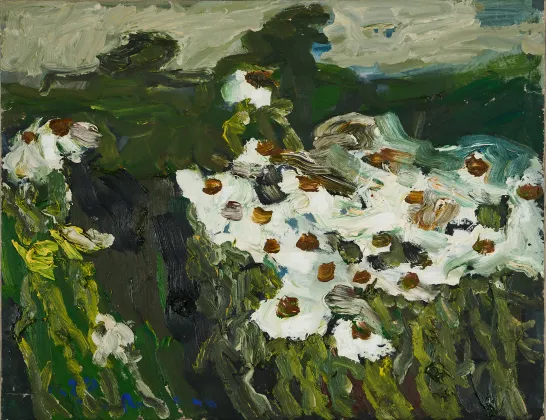 Marguerites