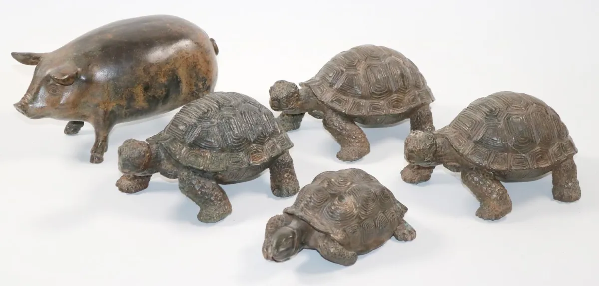 Schildkröten u. – ein Schwein