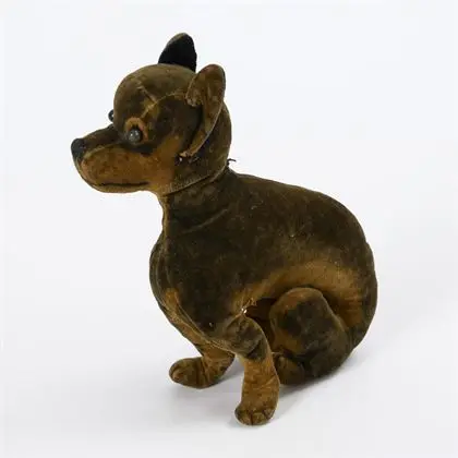 Vieux chien en velours