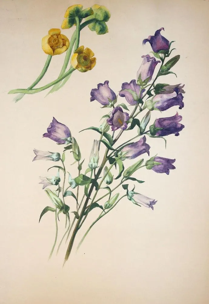 Flowers – 16 various leaves