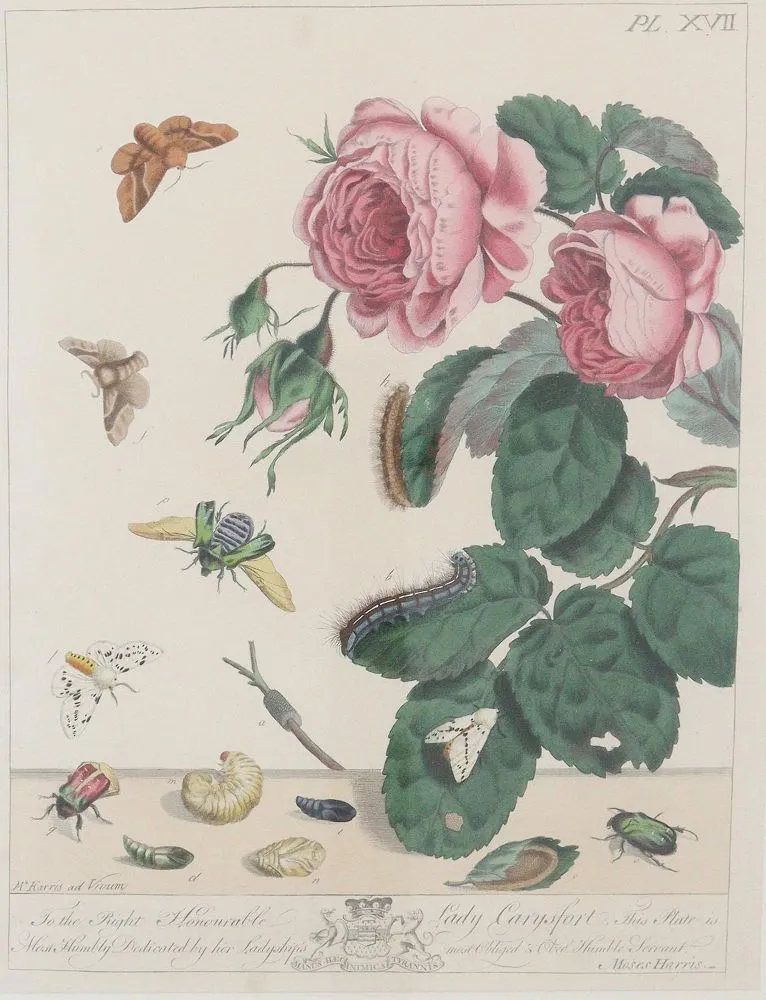 Harris, Moses – (1730 Holborn - London 1785)