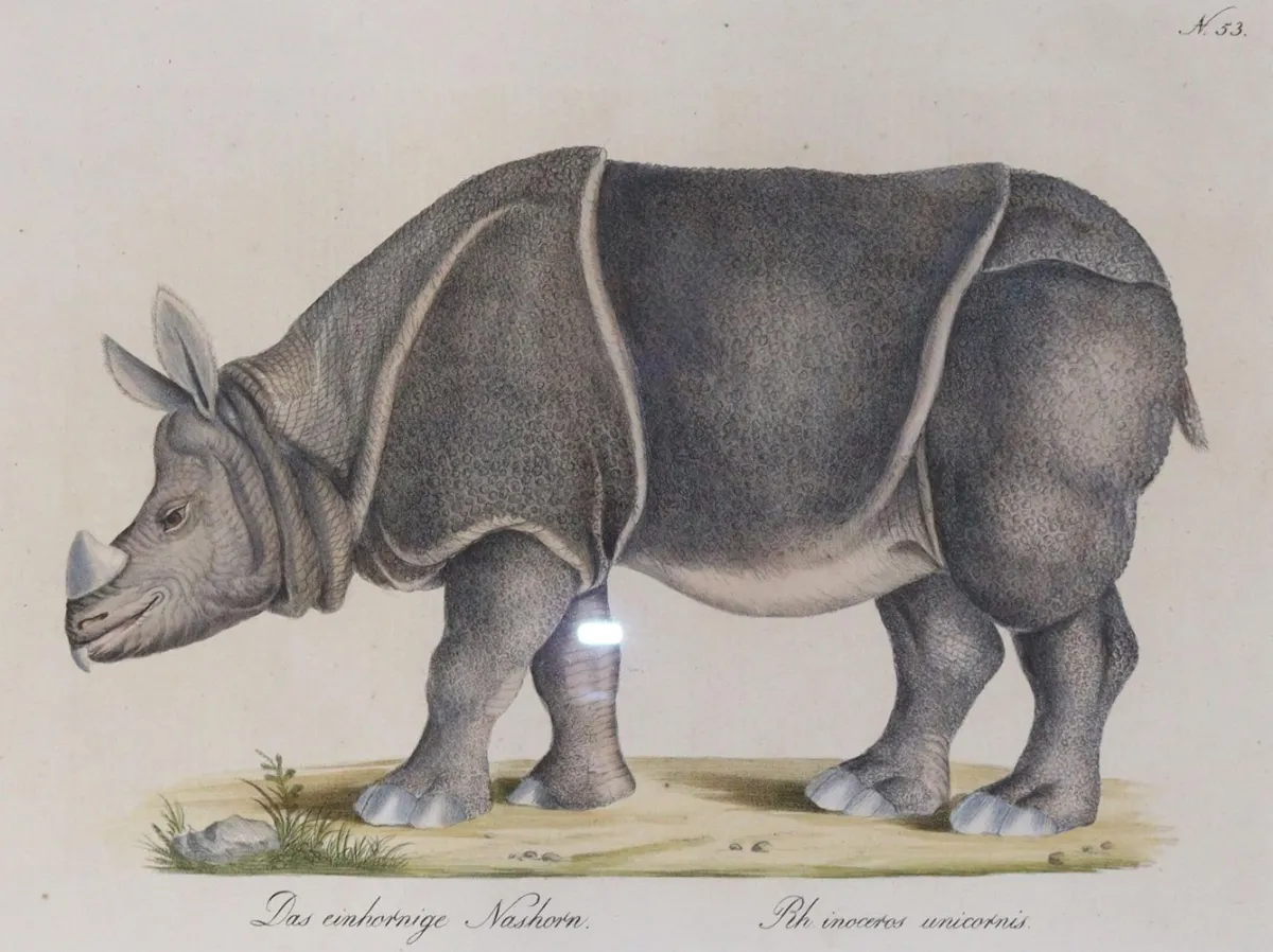Brodtmann, Carl Joseph – (1787 Überlingen - Basel 1862)