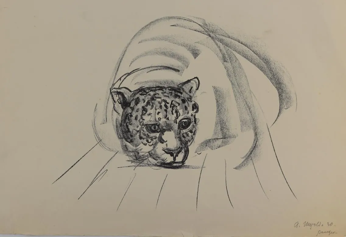 Panther, – Elefant und Affe