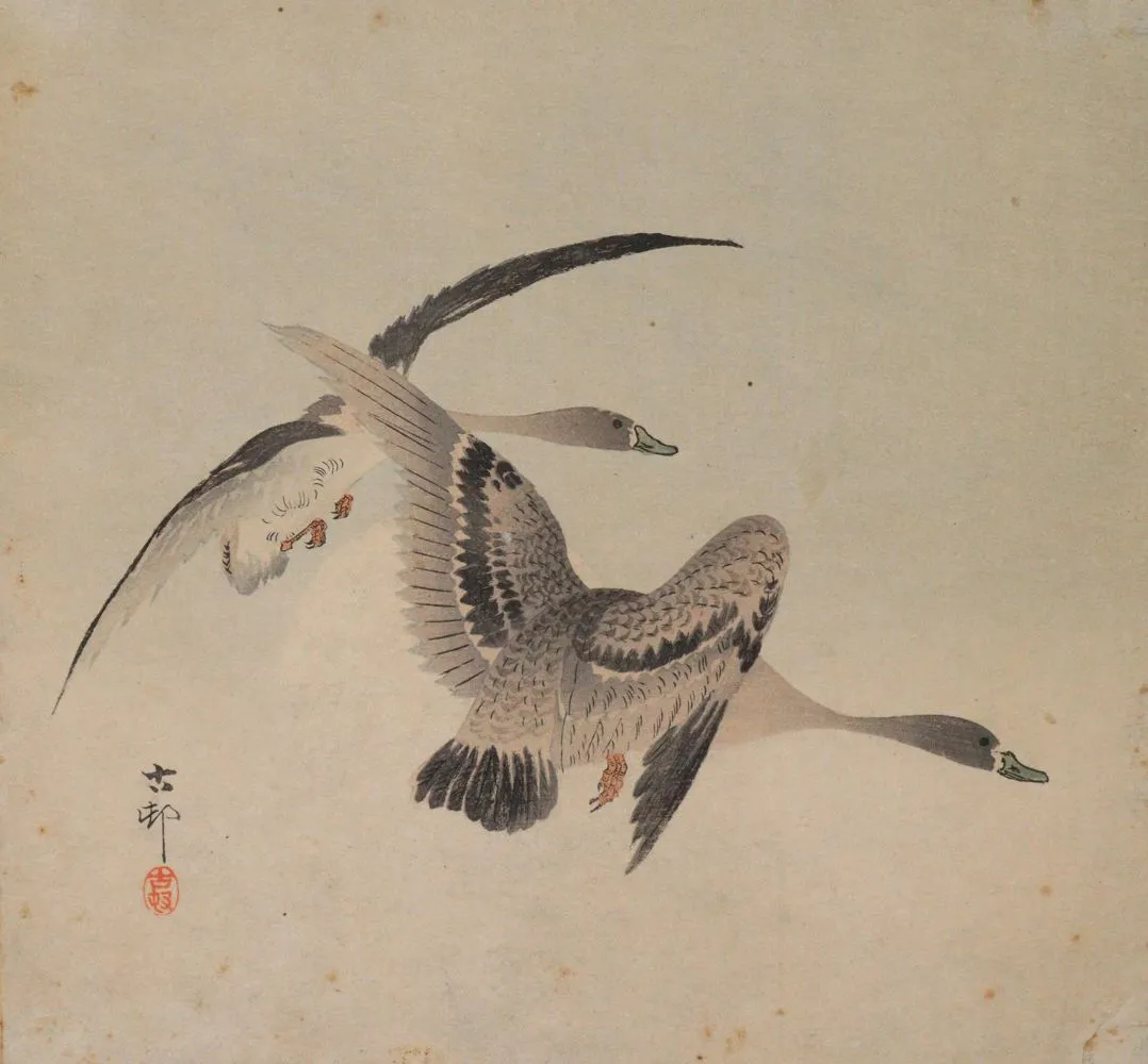 Koson, Ohara – (1877 Kanazawa - Tokio 1945)