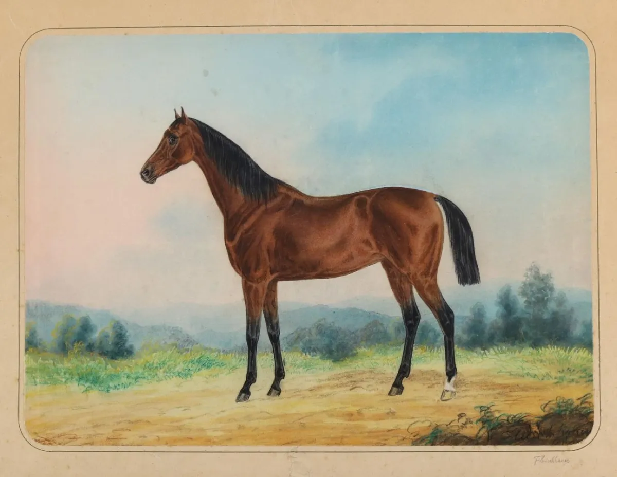 Fleischhauer, Justus Hermann – (1816 Reutlingen - Kornwestheim 1885)