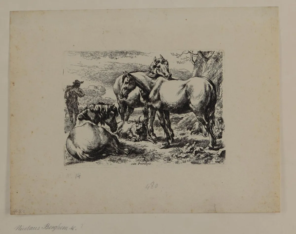 Berghem, Nicolaes – (1620 Harlem - Amsterdam 1683)
