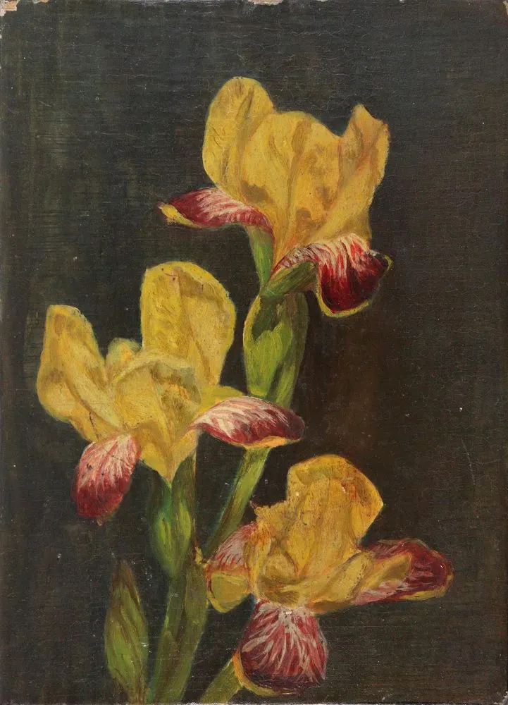 Nature morte florale. – 5 œuvres
