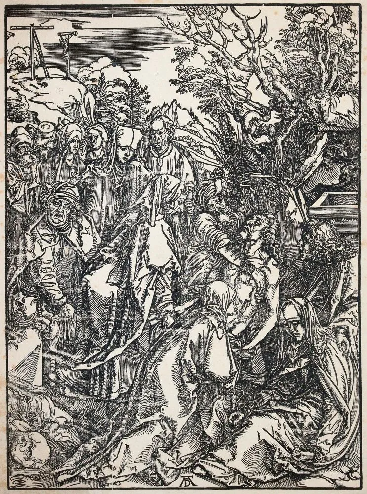 Dürer, Albrecht – (1471 Norymberga 1528)
