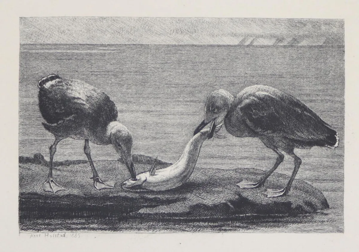 Helsted, Axel – (1847 Kodaň 1907)