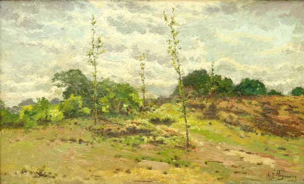 Heymans, Adriaan Joseph (1839 Amsterdam - 1921 Bruksela) – Paysage, Coin de bruyère