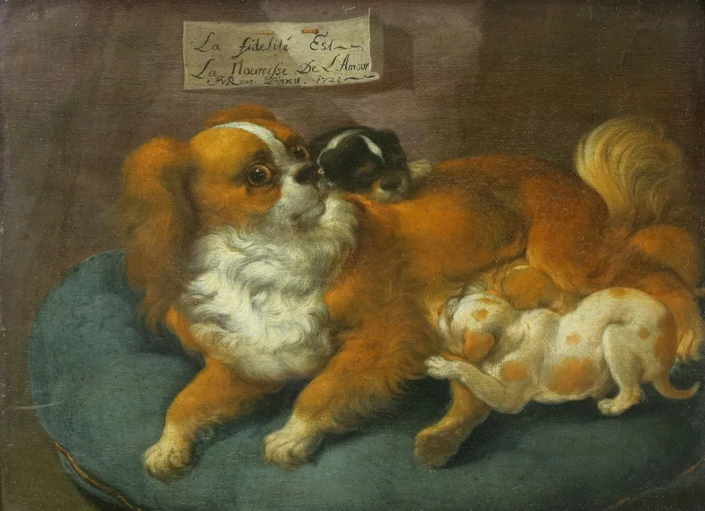 Roos, Johann Melchior (1663 Heidelberg - 1731 Frankfurt am Main) – naar Een Maltezer teef met drie puppy's (1721). Olieverf op hout