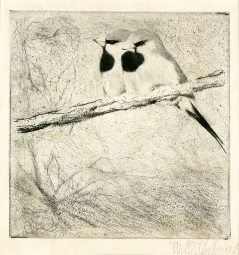 Kuhnert, Wilhelm (1865 Oppeln - 1926 Flims) – Deux pinsons des arbres assis sur une branche