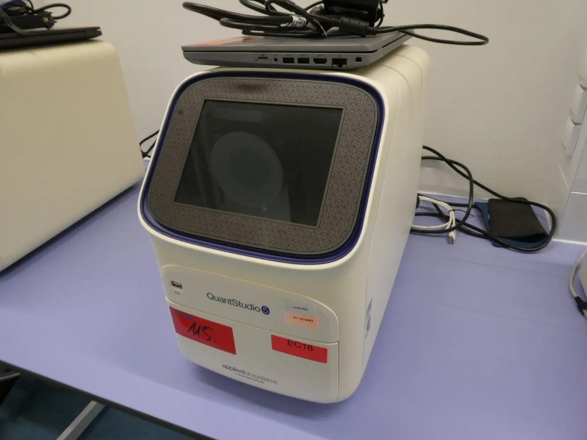 Système PCR Thermo Fisher Scientific QuantStudio™ 5 Real-Time (bloc 96 puits 2,2 ml)
