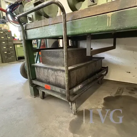 Platform transport trolley