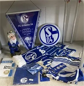 1 лот коллекционных предметов FC Schalke 04
