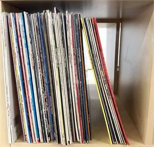 Vinylové desky