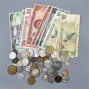Münzen/ Banknoten