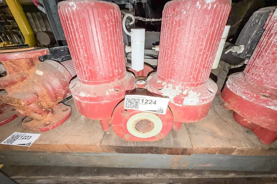Doppelumwelzpumpe Grundfos