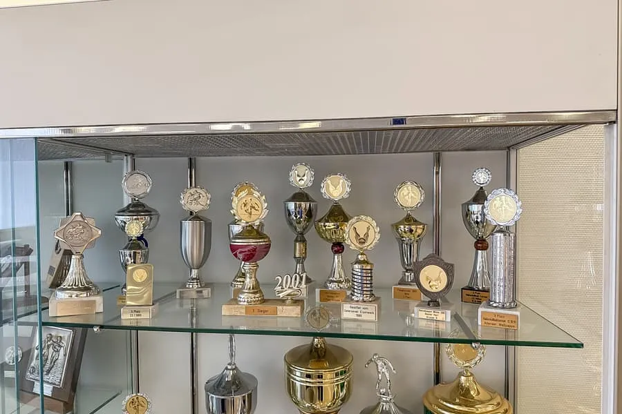 Shelf contents: trophies