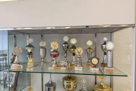 Contenu étagère : trophées