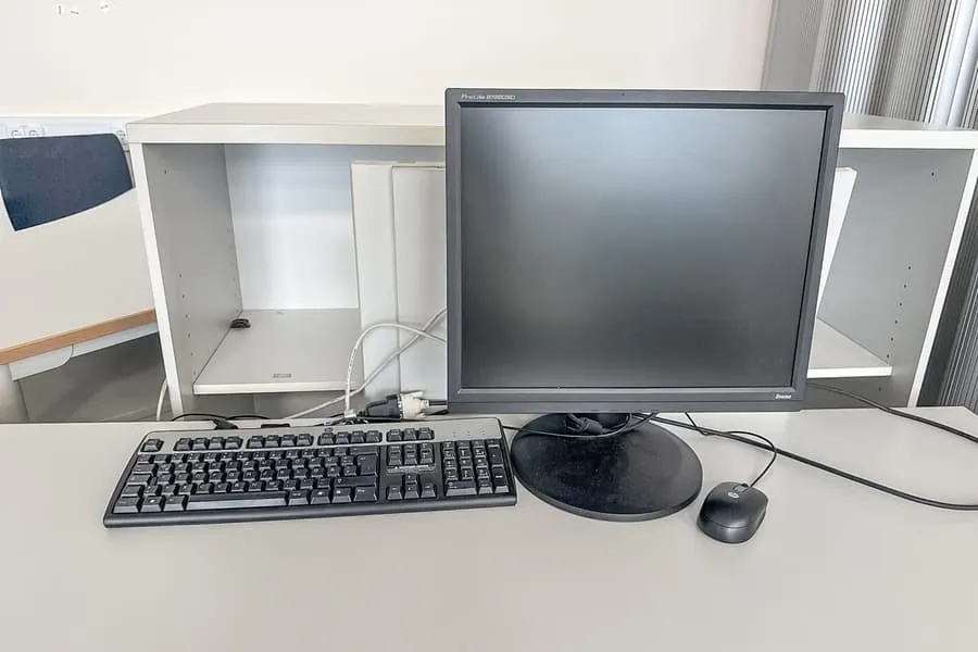 Monitor Iiyama ProLite B1980SD, 19"