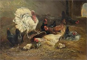Henry Schouten, Poulailler