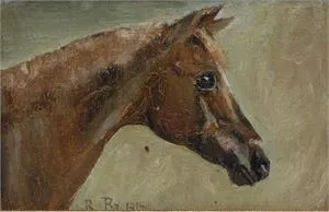 Pferdeportrait