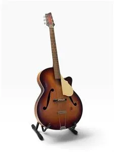 Framus jazzgitaar