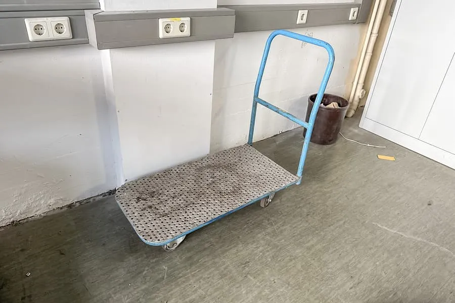 Platform transport trolley