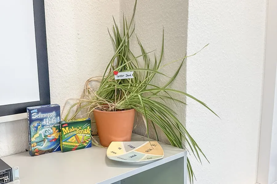 Partij huishoudelijke artikelen