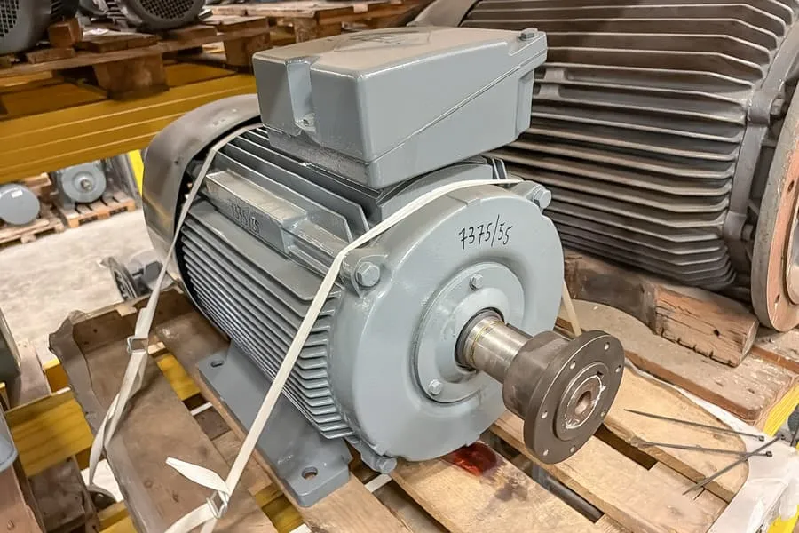 Electric motor VEM 108972/0003